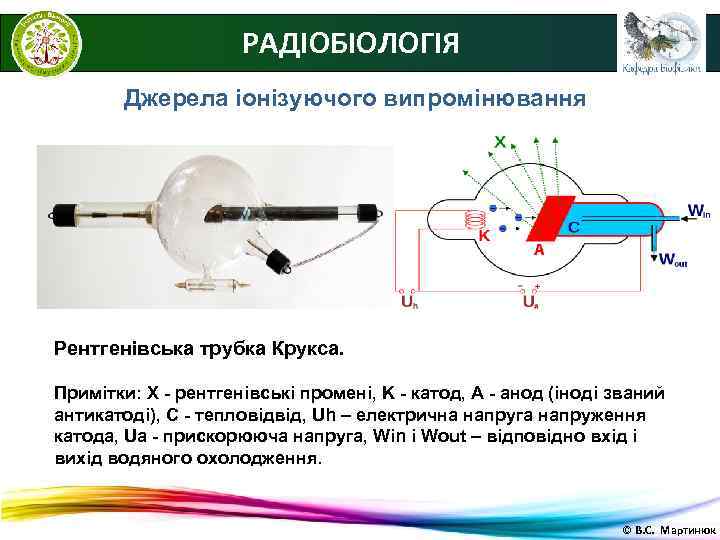      РАДІОБІОЛОГІЯ   Джерела іонізуючого випромінювання Рентгенівська трубка Крукса.