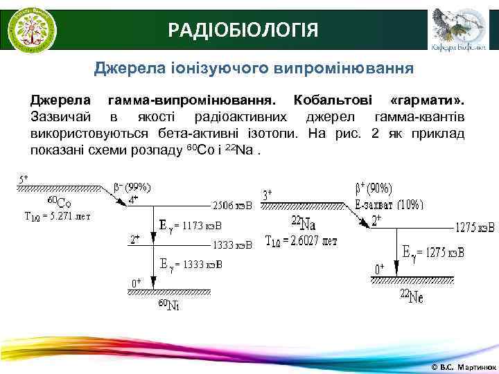    РАДІОБІОЛОГІЯ   Джерела іонізуючого випромінювання Джерела гамма-випромінювання. Кобальтові «гармати» .