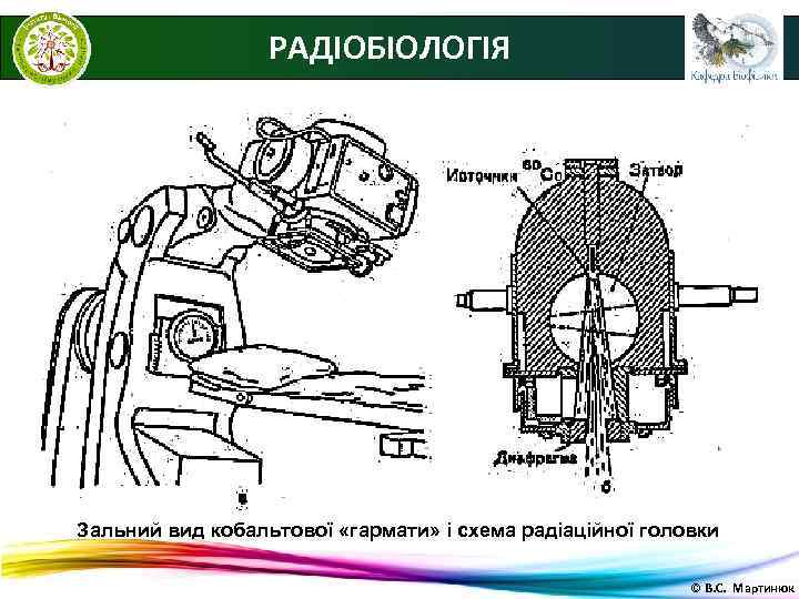    РАДІОБІОЛОГІЯ Зальний вид кобальтової «гармати» і схема радіаційної головки  