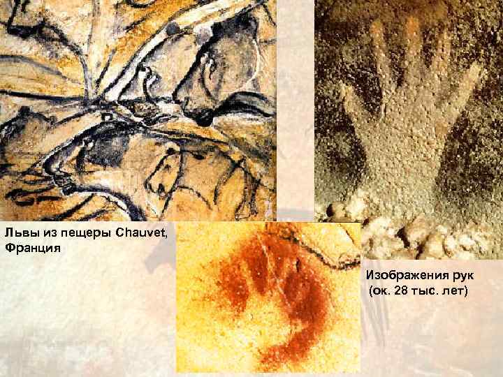Львы из пещеры Chauvet, Франция      Изображения рук  