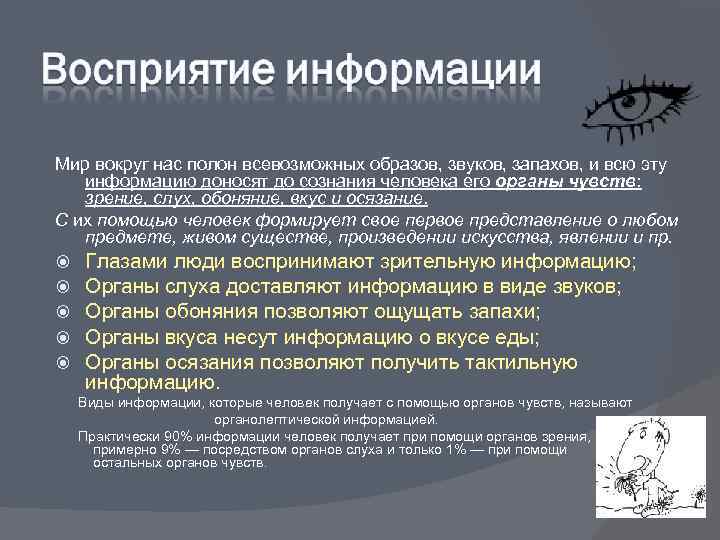 Мир вокруг нас полон всевозможных образов, звуков, запахов, и всю эту  информацию доносят