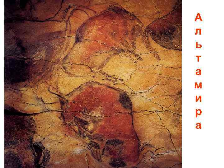А л ь т а м и р а 