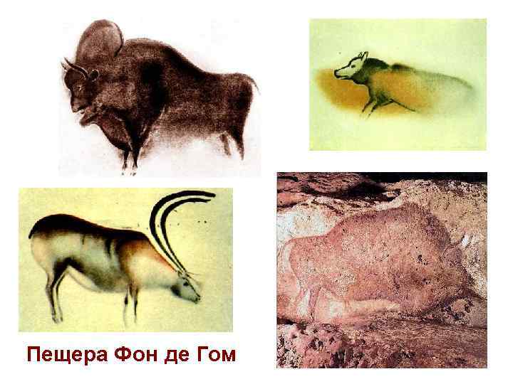 Пещера Фон де Гом 