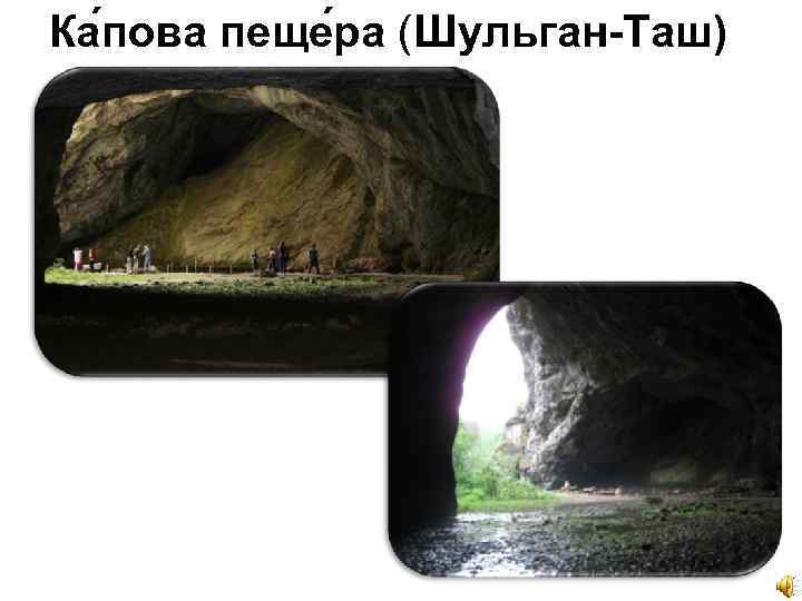 Ка пова пеще ра (Шульган-Таш) 