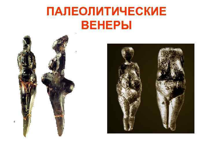 ПАЛЕОЛИТИЧЕСКИЕ ВЕНЕРЫ 