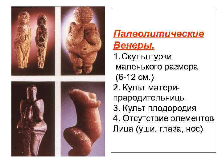 Палеолитические Венеры. 1. Скульптурки маленького размера (6 -12 см. ) 2. Культ матери- прародительницы