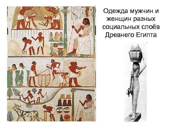 Одежда мужчин и женщин разных социальных слоёв Древнего Египта 