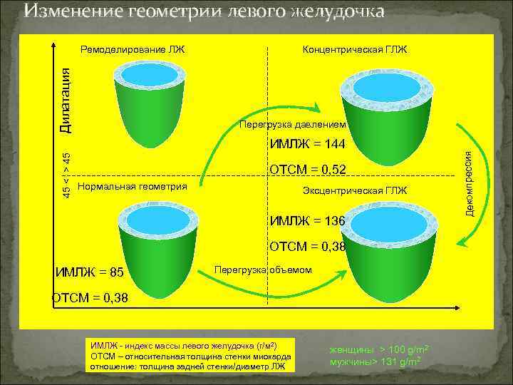 Проникновение онкосфер через стенку кишечника в кровеносное русло превращение онкосфер в финны