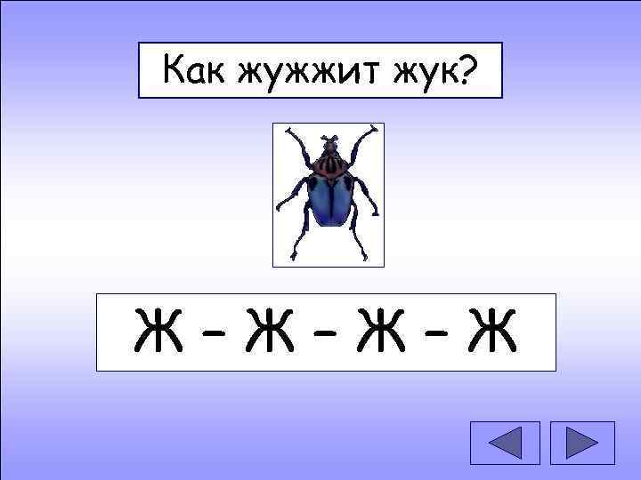 Как жужжит жук? Ж–Ж–Ж–Ж 