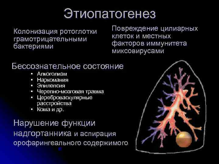    Этиопатогенез Колонизация ротоглотки   Повреждение цилиарных грамотрицательными  