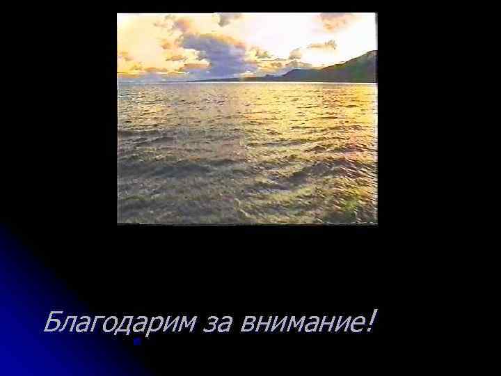 Благодарим за внимание! 