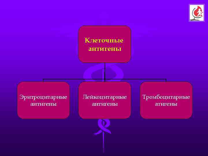    Клеточные    антигены Эритроцитарные  Лейкоцитарные  Тромбоцитарные 