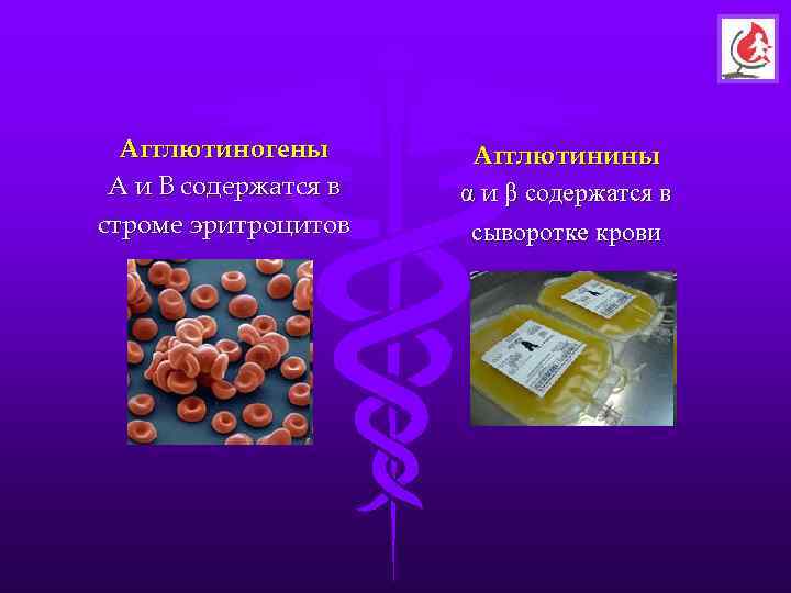  Агглютиногены  Агглютинины А и В содержатся в и β содержатся в строме