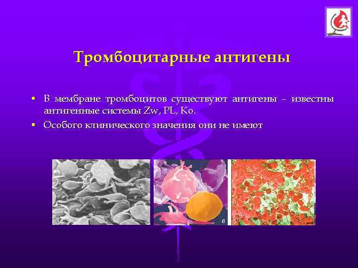   Тромбоцитарные антигены  • В мембране тромбоцитов существуют антигены – известны 