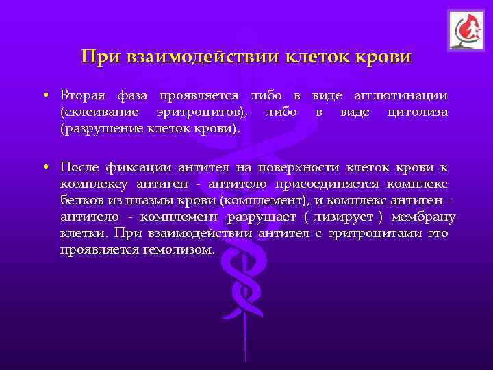  При взаимодействии клеток крови • Вторая фаза проявляется либо в виде агглютинации 