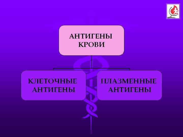   АНТИГЕНЫ   КРОВИ КЛЕТОЧНЫЕ  ПЛАЗМЕННЫЕ АНТИГЕНЫ 