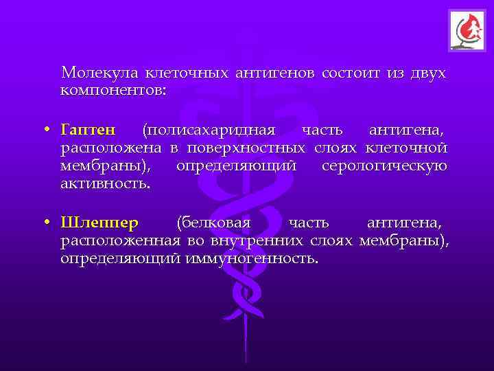  Молекула клеточных антигенов состоит из двух  компонентов:  • Гаптен  (полисахаридная