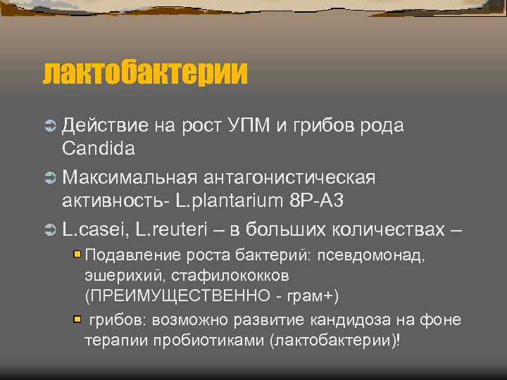 лактобактерии Ü Действие на рост УПМ и грибов рода  Candida Ü Максимальная антагонистическая