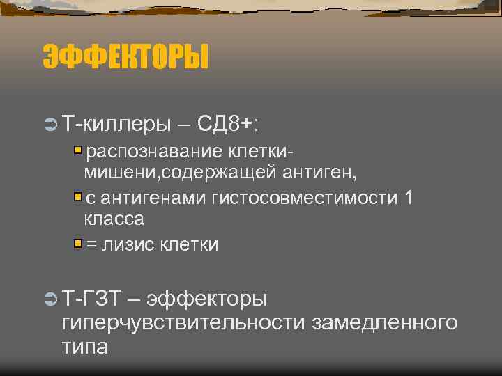 ЭФФЕКТОРЫ Ü Т-киллеры – СД 8+: распознавание клетки-  мишени, содержащей антиген, с антигенами