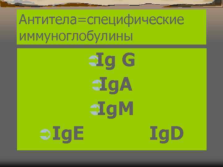 Антитела=специфические иммуноглобулины   ÜIg. G   ÜIg. A   ÜIg. M