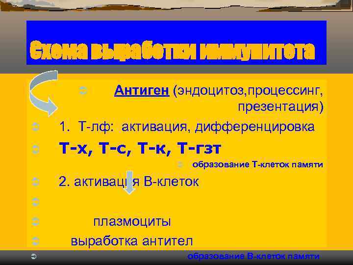 Схема выработки иммунитета  Ü  Антиген (эндоцитоз, процессинг,     