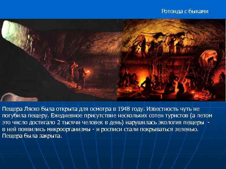      Ротонда с быками Пещера Ляско была открыта для осмотра