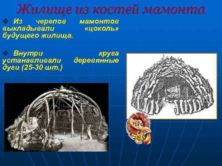   Жилище из костей мамонта v Из  черепов  мамонтов выкладывали 