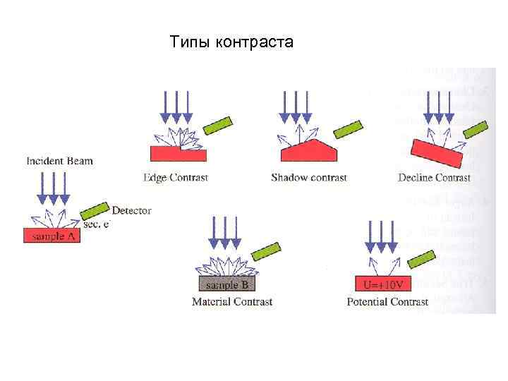 Типы контраста Типы контраста