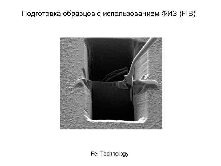 Подготовка образцов с использованием ФИЗ (FIB) Fei Technology Подготовка образцов с использованием ФИЗ (FIB) Fei Technology