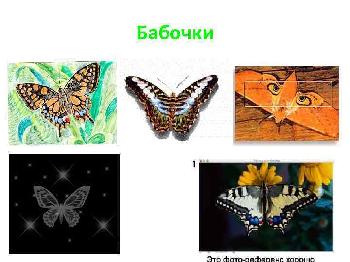 Бабочки 
