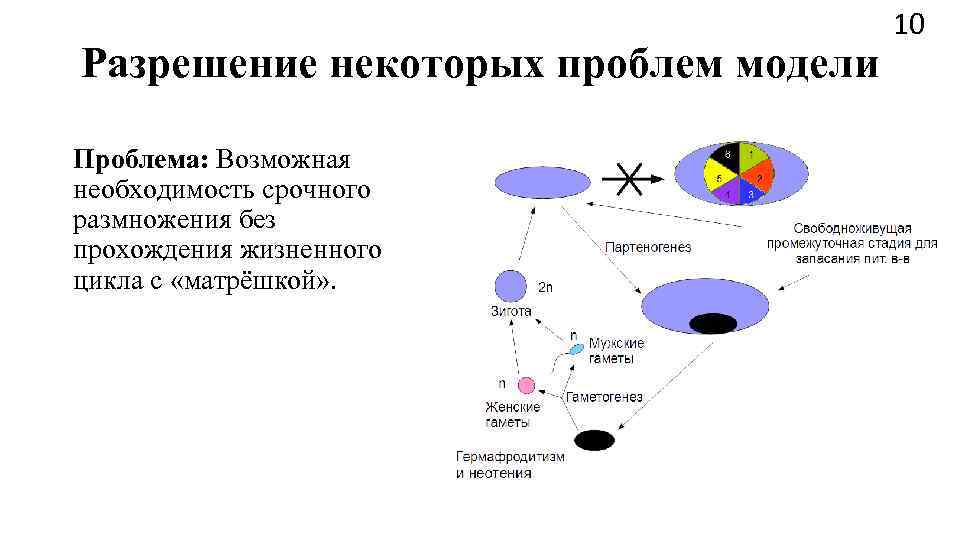        10 Разрешение некоторых проблем модели Проблема: Возможная