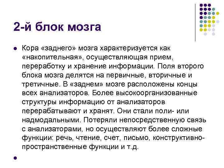 2 -й блок мозга l  Кора «заднего» мозга характеризуется как  «накопительная» ,