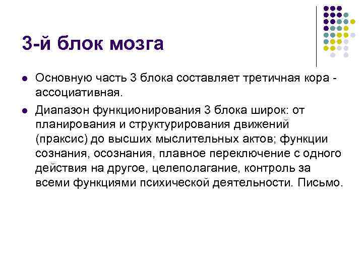 3 -й блок мозга l  Основную часть 3 блока составляет третичная кора -