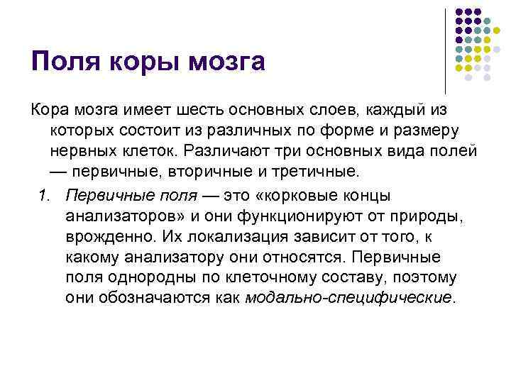 Поля коры мозга Кора мозга имеет шесть основных слоев, каждый из которых состоит из