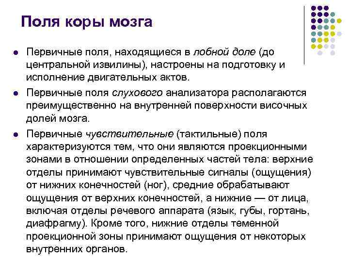   Поля коры мозга l  Первичные поля, находящиеся в лобной доле (до