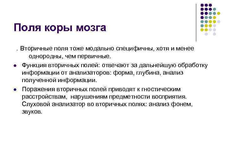 Поля коры мозга. Вторичные поля тоже модально специфичны, хотя и менее  однородны, чем