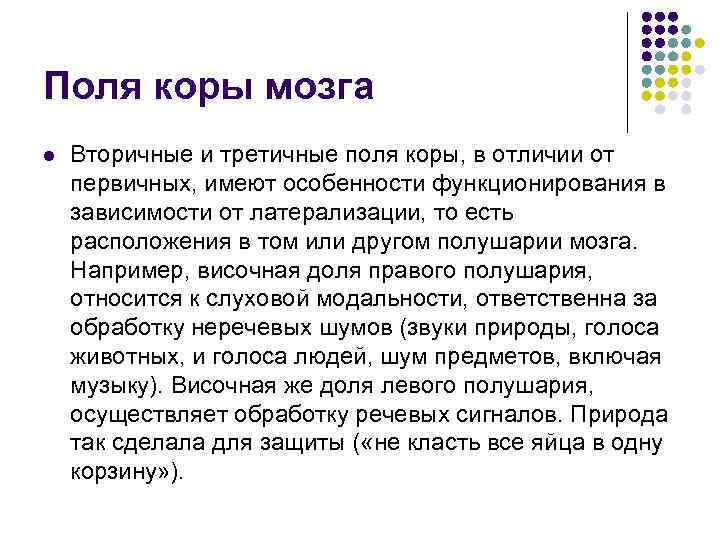 Поля коры мозга l  Вторичные и третичные поля коры, в отличии от первичных,