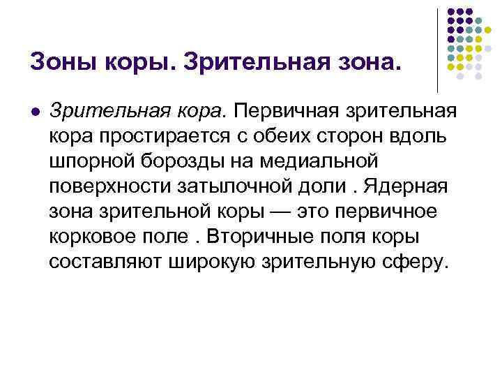 Зоны коры. Зрительная зона. l  Зрительная кора. Первичная зрительная кора простирается с обеих