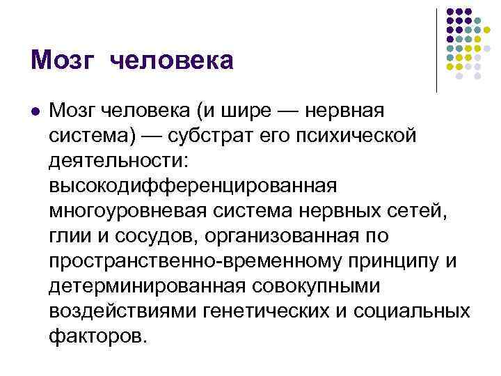 Мозг человека l  Мозг человека (и шире — нервная система) — субстрат его