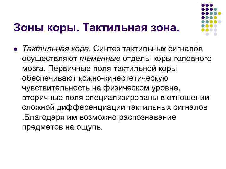 Зоны коры. Тактильная зона. l  Тактильная кора. Синтез тактильных сигналов осуществляют теменные отделы