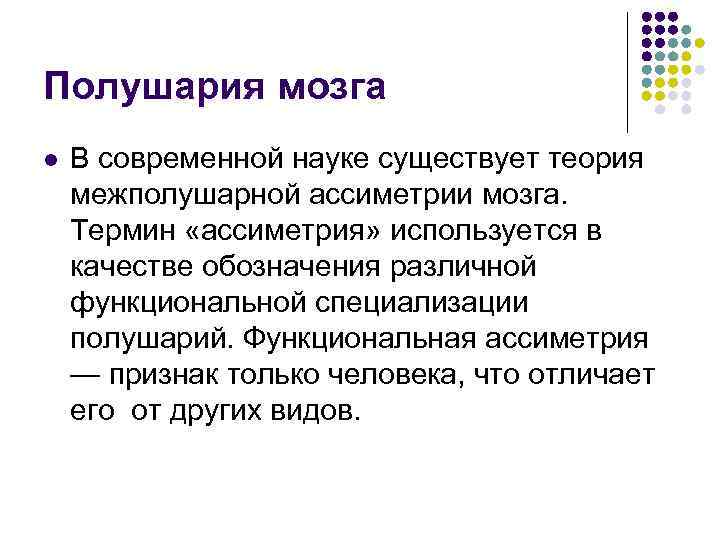 Полушария мозга l  В современной науке существует теория межполушарной ассиметрии мозга.  Термин