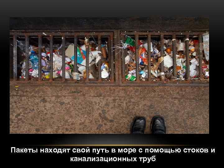 Пакеты находят свой путь в море с помощью стоков и    канализационных