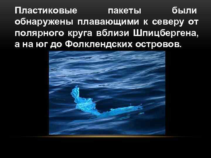 Пластиковые  пакеты  были обнаружены плавающими к северу от полярного круга вблизи Шпицбергена,