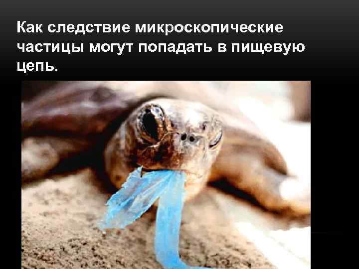 Как следствие микроскопические частицы могут попадать в пищевую цепь. 