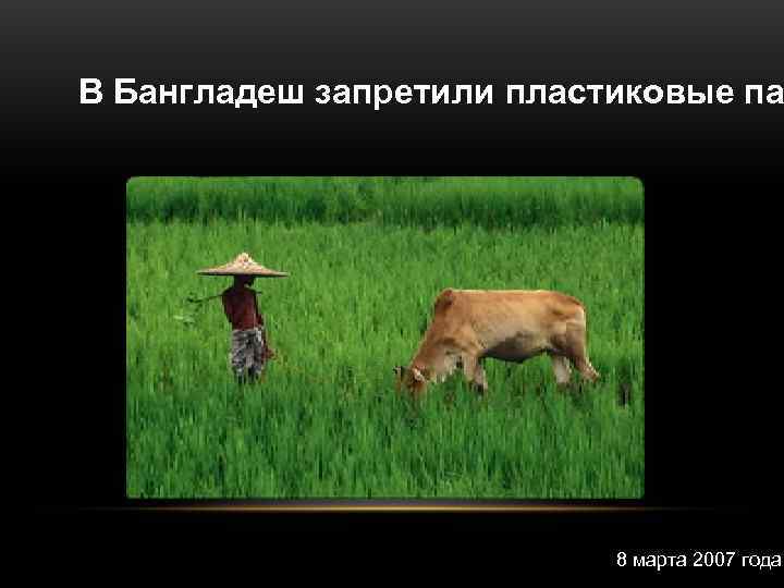 В Бангладеш запретили пластиковые па      8 марта 2007 года