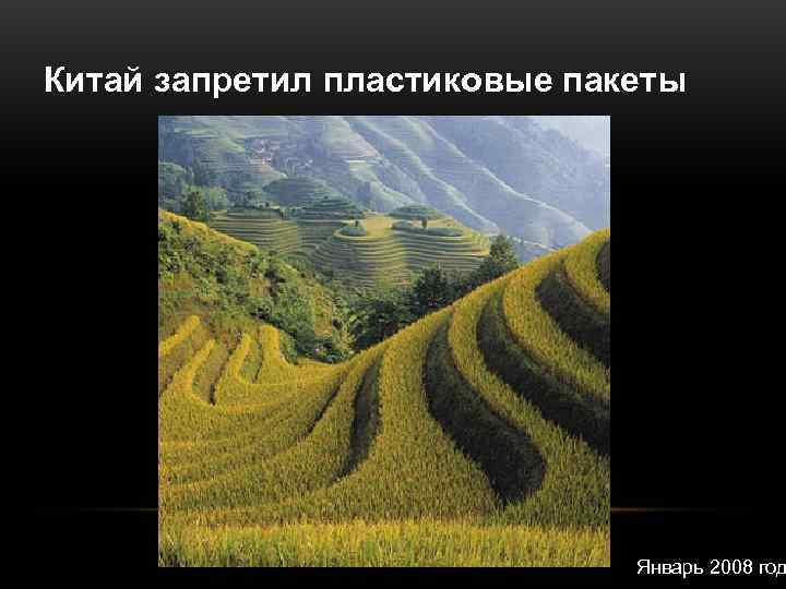 Китай запретил пластиковые пакеты      Январь 2008 год 