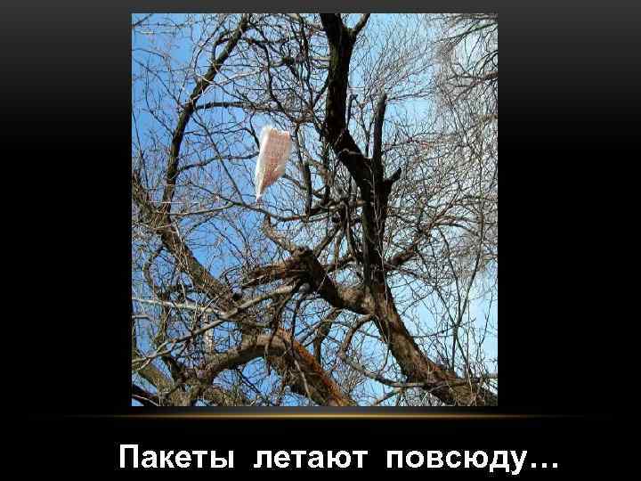 Пакеты летают повсюду… 