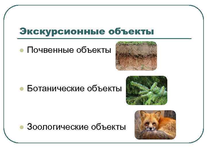 Экскурсионные объекты l  Почвенные объекты  l  Ботанические объекты  l 