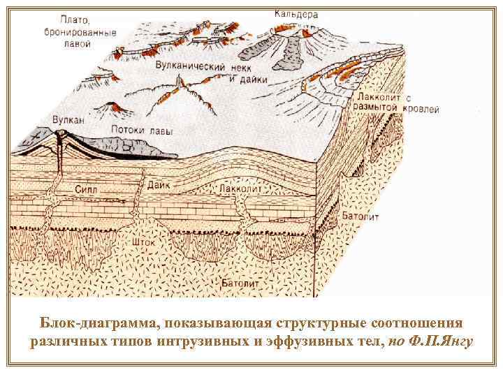 Блок-диаграмма, показывающая структурные соотношения различных типов интрузивных и эффузивных тел, по Ф. П. Блок-диаграмма, показывающая структурные соотношения различных типов интрузивных и эффузивных тел, по Ф. П.