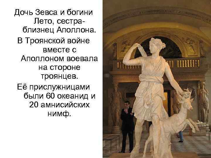 Дочь Зевса и богини  Лето, сестра-  близнец Аполлона.  В Троянской войне